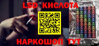spice Свободный