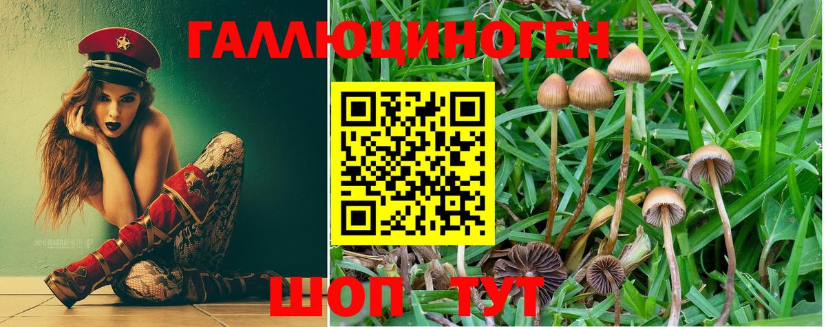 Псилоцибиновые грибы GOLDEN TEACHER Новодвинск