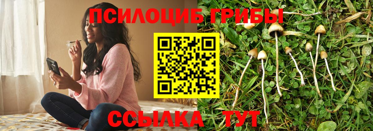 Галлюциногенные грибы Cubensis  Вход с VPN  Новодвинск 